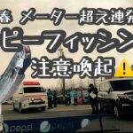 サワラのメーターオーバー祭り！と注意喚起『ハッピーフィッシング』　#新潟アウトドア #新潟釣り #オフショアジギング