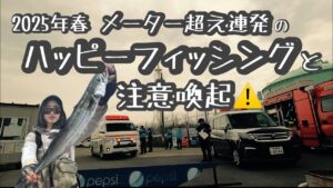 サワラのメーターオーバー祭り！と注意喚起『ハッピーフィッシング』　#新潟アウトドア #新潟釣り #オフショアジギング