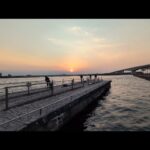 最速情報📢浜名湖サビキ釣りが徐々に熱くなってきました。【浜名湖釣り】🎣