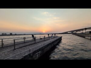 最速情報📢浜名湖サビキ釣りが徐々に熱くなってきました。【浜名湖釣り】🎣