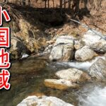 【渓流釣り】新規開拓！小国地域で初挑戦！