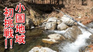 【渓流釣り】新規開拓!小国地域で初挑戦!