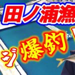 【アジ釣り】人気の釣り場【和歌山田ノ浦漁港】がアツい！アジ回遊中！釣果は絶好調！アジングでもサビキでも釣れる！！