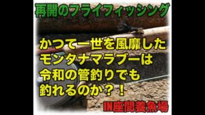 いにしえのフライパターン『モンタナマラブー』を令和の管理釣り場【千葉県柏市】【座間養魚場】で使ってみた。