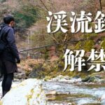 奥多摩渓流釣り解禁！さぁイワナに会いにいくぞ！