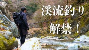 奥多摩渓流釣り解禁！さぁイワナに会いにいくぞ！