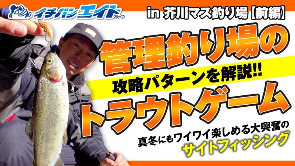 芥川マス釣り場の攻略法!!真冬に楽しめる『管理釣り場』！