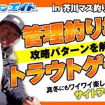 芥川マス釣り場の攻略法!!真冬に楽しめる『管理釣り場』！