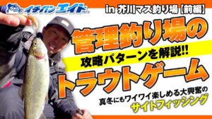 芥川マス釣り場の攻略法!!真冬に楽しめる『管理釣り場』！