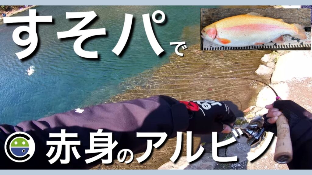 爆風のすそパ上池でアルビノのサービス赤身を釣る【エリアトラウト】【管理釣り場】【裾野フィッシングパーク】【すそのフィッシングパーク】