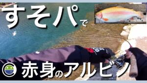 爆風のすそパ上池でアルビノのサービス赤身を釣る【エリアトラウト】【管理釣り場】【裾野フィッシングパーク】【すそのフィッシングパーク】