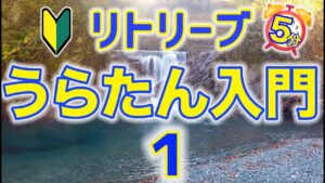 【超初心者向け】5分@管理釣り場でフライフィッシング さぁ!うらたんざわ渓流釣場入門1〜 尺イワナ爆釣り よく釣れるリトリーブ大公開さぁ