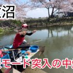 伊佐沼ノッコミへらぶな釣り！一旦一服モードの中アキちゃんは爆釣り流石名手！ポイントも重要なのかな〜