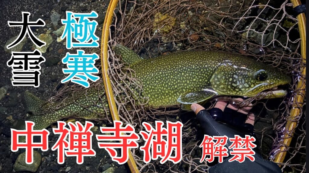 【中禅寺湖】レイクトラウトに必要な装備&ギヤを紹介！大雪の解禁日に釣れたルアーはコレ！