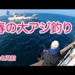 大アジ釣り、春の浜名湖前
