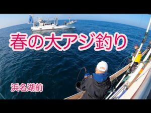 大アジ釣り、春の浜名湖前