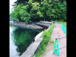 鯉釣り 沼沢沼視察