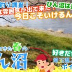 【埼玉バス釣り】ようやく訪れた春をアタリだけは多い埼玉の沼でバス釣りをしてきました！ 冬が終わったことが確認でき、魚が動き始めていることが分かったので釣れるのではと期待が膨らみました！【ポイント紹介】