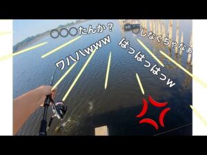 多々良沼もう行きません！【バス釣り　秋】たぶん…