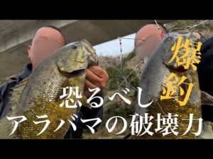 【茨城バス釣り】恐るべしアラバマの破壊力！春の川で爆釣劇！【スモールマウスバス】