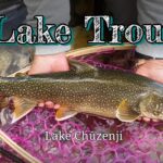 【トラウト】中禅寺湖レイクトラウト スプーン