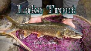 【トラウト】中禅寺湖レイクトラウト スプーン