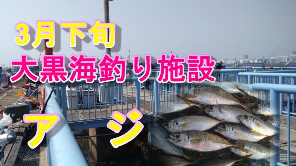【大黒海釣り施設】３月下旬　アジ！