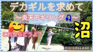 沼釣り　ブルーギル