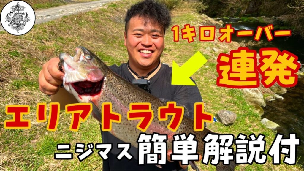 【エリアトラウト】所詮、管理釣り場でしょ？ところが１キロ連発？！そのポテンシャルにどハマりした！！釣り方解説アリ