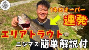 【エリアトラウト】所詮、管理釣り場でしょ？ところが１キロ連発？！そのポテンシャルにどハマりした！！釣り方解説アリ