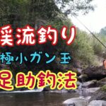 渓流釣り　スレたアマゴの釣り方【谷アマゴ必釣法】