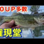 こんなにバスいるのっ