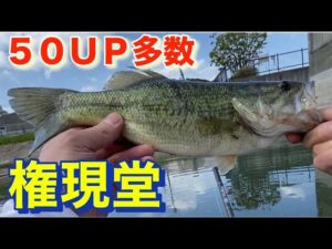 こんなにバスいるのっ