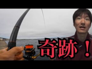 春の浜名湖で釣りしたらまさかの展開🔥