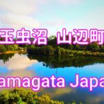 山形県　山辺町　玉虫沼(へら鮒、ブラックバス釣りで有名)