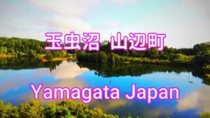 山形県　山辺町　玉虫沼(へら鮒、ブラックバス釣りで有名)
