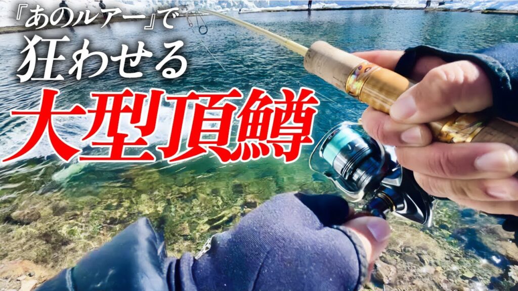 放流で『あのルアー』を投げると大型頂鱒が次々と狂い出す【エリアトラウト】【管理釣り場】