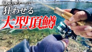 放流で『あのルアー』を投げると大型頂鱒が次々と狂い出す【エリアトラウト】【管理釣り場】