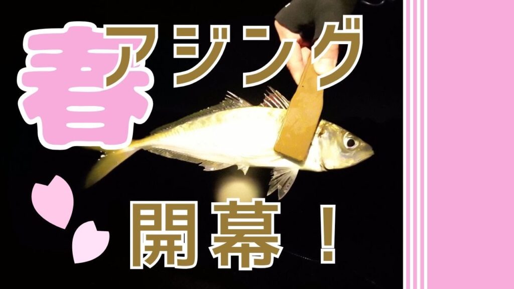【春アジング】ハッピーフィッシングに行かなくてもハッピーになりたい！！