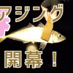 【春アジング】ハッピーフィッシングに行かなくてもハッピーになりたい！！