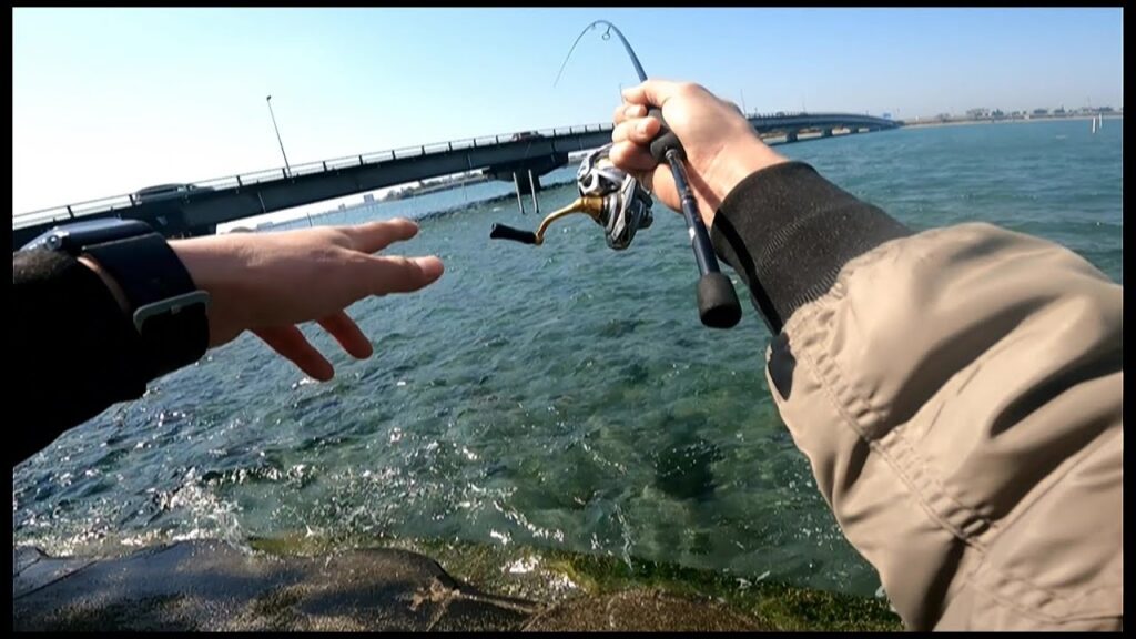 透きとおる浜名湖で最も簡単にクロダイを釣る方法はコレだ！！