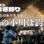 【うなぎ釣り】【簡単！】うなぎを釣るなら大きな川より小さな川を狙え！！