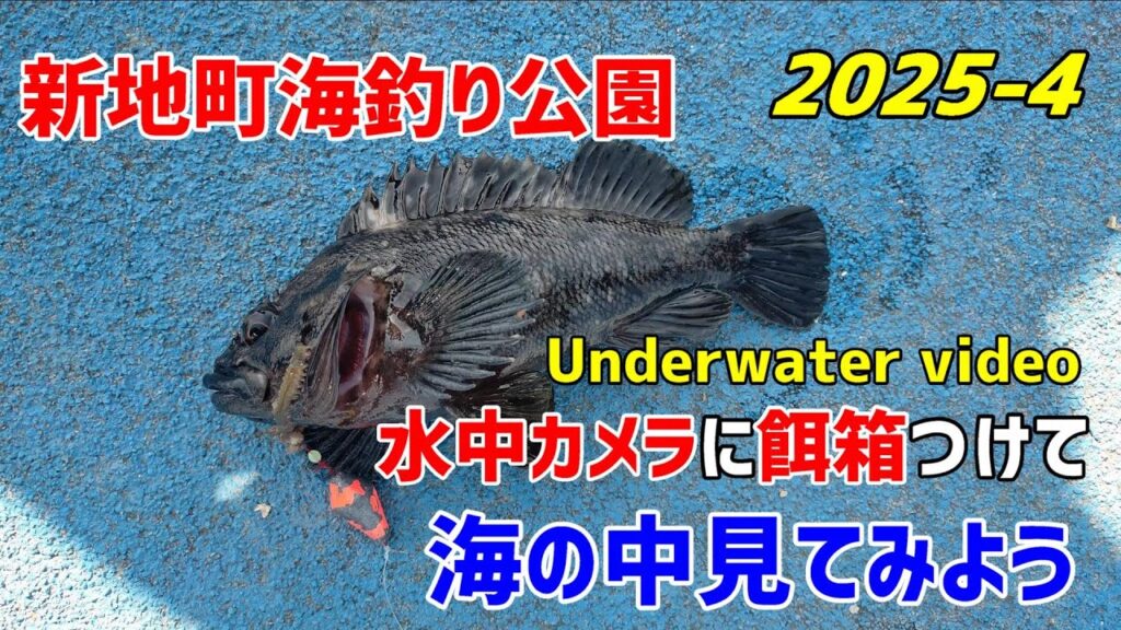 新地町海釣り公園　２０２５年４月の海の模様です。　水中映像のリアルな映像をお届けます。　これが４月の海のリアルな実録です