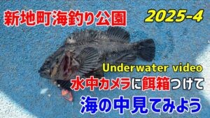 新地町海釣り公園　２０２５年４月の海の模様です。　水中映像のリアルな映像をお届けます。　これが４月の海のリアルな実録です