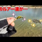 なら山沼漁場さん釣れすぎだって！！笑【エリアトラウト】