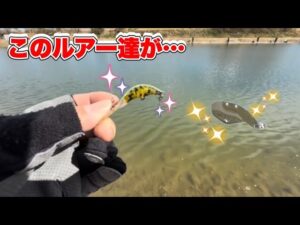 なら山沼漁場さん釣れすぎだって!!笑【エリアトラウト】