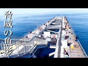 関西最強と噂の海釣り公園に行ってみた結果…