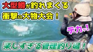 大型トラウトが大量に放流された管理釣り場で大物釣り大会をしたら楽しすぎた!【エリアトラウト】