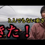激流の浜名湖で釣りしたら…