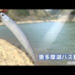 【 バス釣り】「奥多摩湖半日チャレンジ！デカバス連発の結末は…？」
